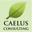 Caelus Consulting