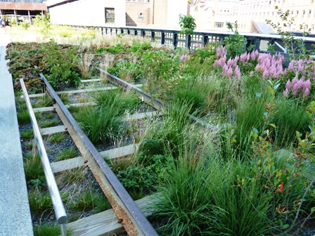 High Steet plants on tracks