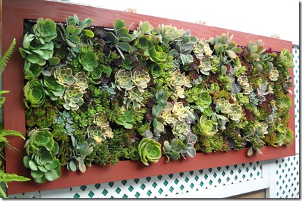 Framed Vertical Garden