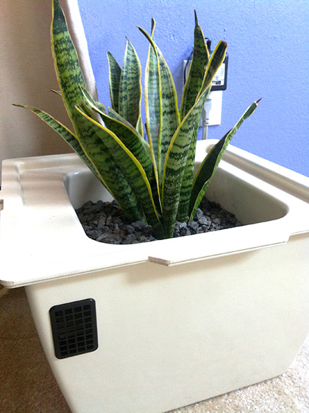 Plant Air Purifier