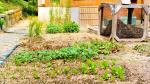 Composting for a Healthier Home