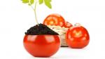 Organic Food: Can We Trust It?  Can We Afford It?