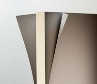 DensArmor® Paperless Interior Drywall DensArmor® Paperless Interior Drywall