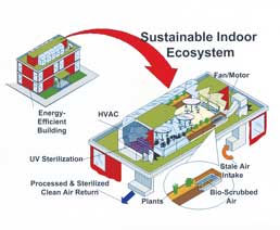 Suistainable Indoor Ecosystem infographic